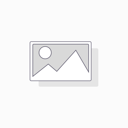 Odoo one hour technical support